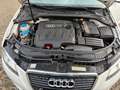 Audi A3 Sportback 1.6 TDI Ambition STANDH. ALCANTARA Wit - thumbnail 23