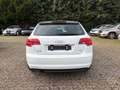 Audi A3 Sportback 1.6 TDI Ambition STANDH. ALCANTARA Wit - thumbnail 4