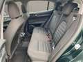 Alfa Romeo Stelvio Business Q4 NAVI/KEYLESS/XENON/ACC Grün - thumbnail 17