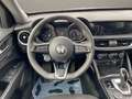 Alfa Romeo Stelvio Business Q4 NAVI/KEYLESS/XENON/ACC Grün - thumbnail 13