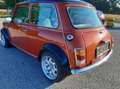 MINI 1000 Orange - thumbnail 5