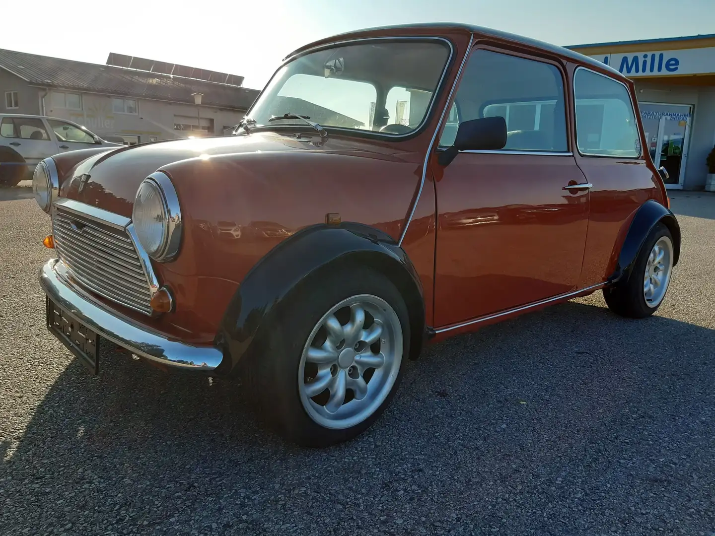 MINI 1000 Orange - 2