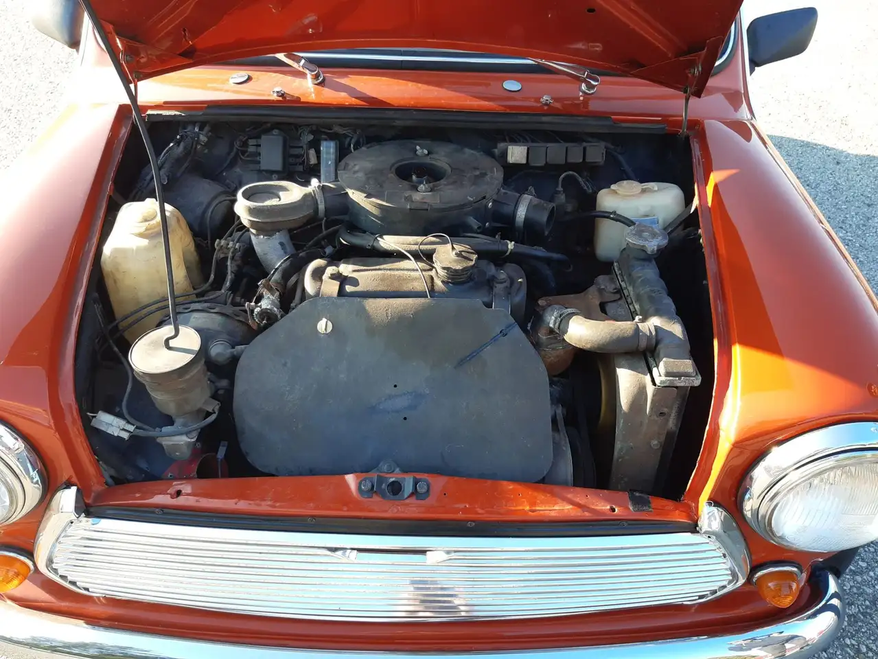 MINI 1000, foto 10