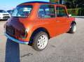MINI 1000 Orange - thumbnail 7