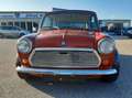 MINI 1000 Orange - thumbnail 3