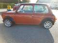 MINI 1000 Orange - thumbnail 4