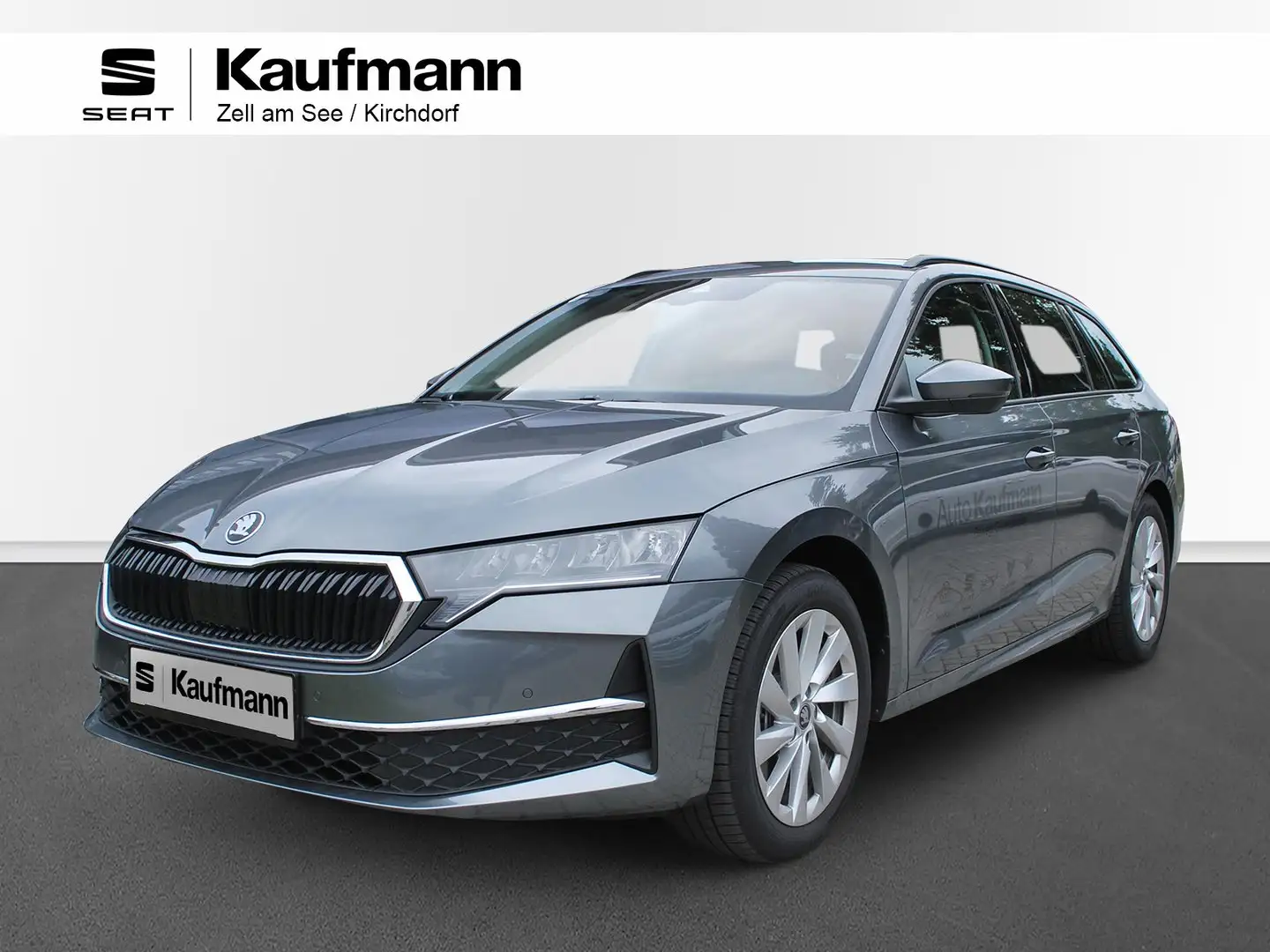 Skoda Octavia 4x4 Selection TSI DSG Grau - 1