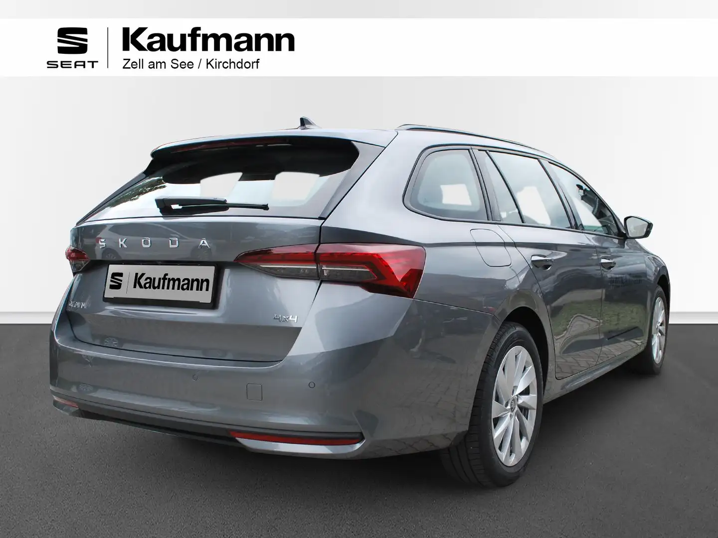 Skoda Octavia 4x4 Selection TSI DSG Grau - 2