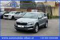 Skoda Karoq 2,0 TDI 4x4 DSG Selection ACC AHK LED Navi Sitz... Grau - thumbnail 1