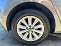 Volkswagen Polo 1.0 TSI HIGHLINE Grau - thumbnail 12