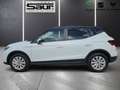 SEAT Arona Road Edition 1.0 TSI DSG AHK VOLL-LED SHZ RÜCKFAHR Weiß - thumbnail 6