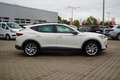 CUPRA Formentor 1.5 TSI DSG LED ACC AHK Kamera Keyless Weiß - thumbnail 5