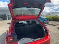 Volkswagen Polo VI 1.0 TSI Move Matrix+LED+Navi+SHZ+2xKlima Rot - thumbnail 8