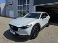 Mazda CX-30 e-Skyactive G150 Homura Aut. Weiß - thumbnail 2