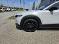 Mazda CX-30 e-Skyactive G150 Homura Aut. Weiß - thumbnail 3