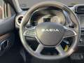 Dacia Spring Electric 65 Extreme Extreme  ELECTRIC 65 Grau - thumbnail 10