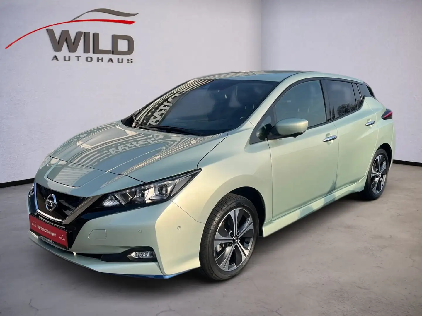 Nissan Leaf 62 kWh e+ Tekna PDC, Navi, Cam Green - 2