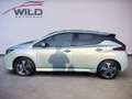 Nissan Leaf 62 kWh e+ Tekna PDC, Navi, Cam Green - thumbnail 7