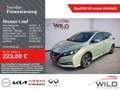 Nissan Leaf 62 kWh e+ Tekna PDC, Navi, Cam Green - thumbnail 1