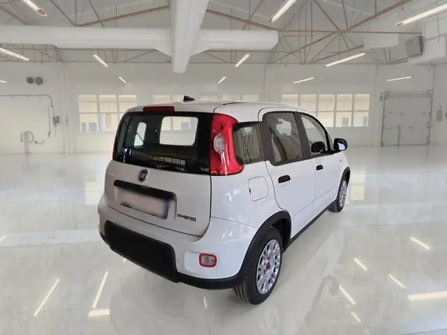 Fiat Panda view 4