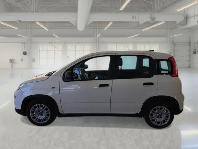 Fiat Panda view 5