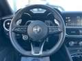 Alfa Romeo Stelvio Stelvio 2.2 Turbodiesel 210 CV AT8 Q4 Sprint Nero - thumbnail 13