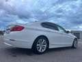 BMW 520 520d Aut. Österreich-Paket Weiß - thumbnail 5
