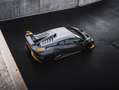 Lamborghini Huracán Huracán STO Lift Carbon Telemetry Sondermodell Grau - thumbnail 39