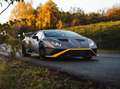 Lamborghini Huracán Huracán STO Lift Carbon Telemetry Sondermodell Grau - thumbnail 18