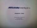 Land Rover Discovery discovery 2.0 sd4 se 240cv 7pt auto gancio t. Gris - thumbnail 15
