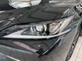 Lexus ES 300 h Schwarz - thumbnail 24