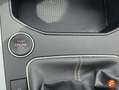 SEAT Ibiza 1.0 TSI 85kW Special Edition Xcellence Gris - thumbnail 19