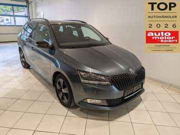 Combi 1.0TSI STYLE APP GRA LED SHZ AHK