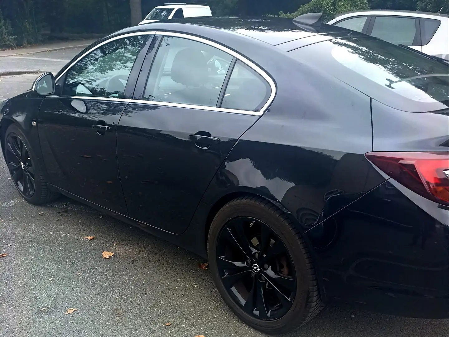 Opel Insignia Insignia 2.0 CDTI - 195 FAP AWD Cosmo Pack A Noir - 1