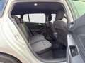 Ford Focus Turnier 1.5D EcoBlue ST-Line Aut. Garantie bis 02 Silber - thumbnail 17