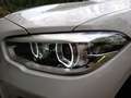 BMW 118 118 Executive Wit - thumbnail 27