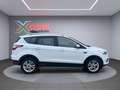 Ford Kuga 2.0 TDCI Titanium/Navi/SHZ/AHK Weiß - thumbnail 7