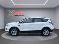 Ford Kuga 2.0 TDCI Titanium/Navi/SHZ/AHK Blanc - thumbnail 3