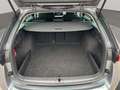Skoda Octavia 2.0 TDI DPF Style Grau - thumbnail 19