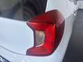 Kia Picanto 1.0 dpi Style Gpl amt Bianco - thumbnail 9