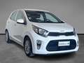 Kia Picanto 1.0 dpi Style Gpl amt Bianco - thumbnail 6