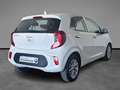 Kia Picanto 1.0 dpi Style Gpl amt Bianco - thumbnail 5