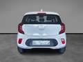 Kia Picanto 1.0 dpi Style Gpl amt Bianco - thumbnail 4