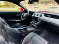 Ford Mustang 5,0 Ti-VCT V8 GT Cabrio Aut. Rot - thumbnail 17