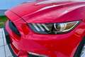 Ford Mustang 5,0 Ti-VCT V8 GT Cabrio Aut. Rot - thumbnail 12