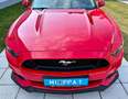 Ford Mustang 5,0 Ti-VCT V8 GT Cabrio Aut. Rot - thumbnail 14