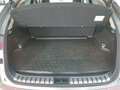 Lexus NX 300h 2.5 Premium 2WD - thumbnail 24
