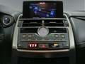 Lexus NX 300h 2.5 Premium 2WD - thumbnail 14