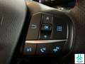 Ford Focus 1.0 Ecoboost MHEV 92kW ST-Line Blanco - thumbnail 21