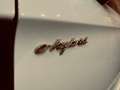 Porsche Panamera 4 e-Hybrid Blanco - thumbnail 15